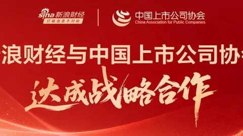 王者荣耀新英雄首秀，技能惊艳玩家